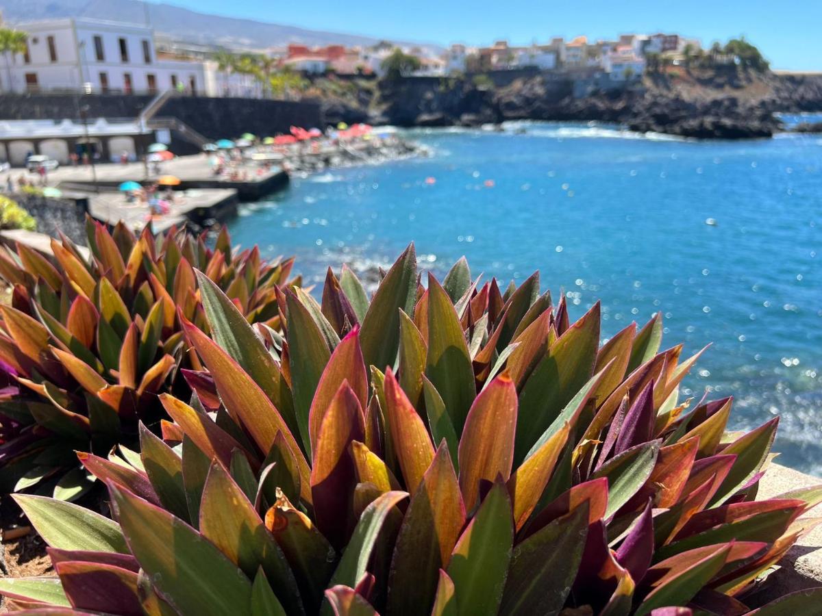 Alcamar Habitacion Privada Con Bano Compartido Cerca Al Mar! Alcalá la Real Exteriör bild